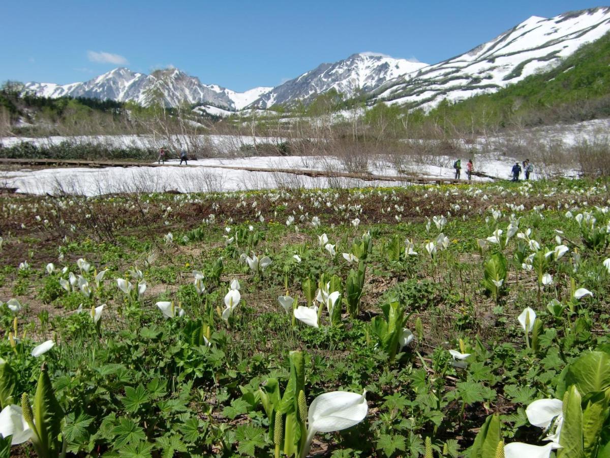 Anri Villa Hakuba Exterior photo